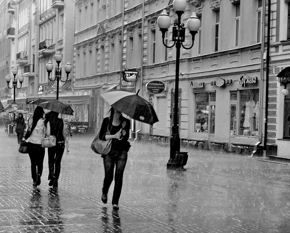 High street in the rain